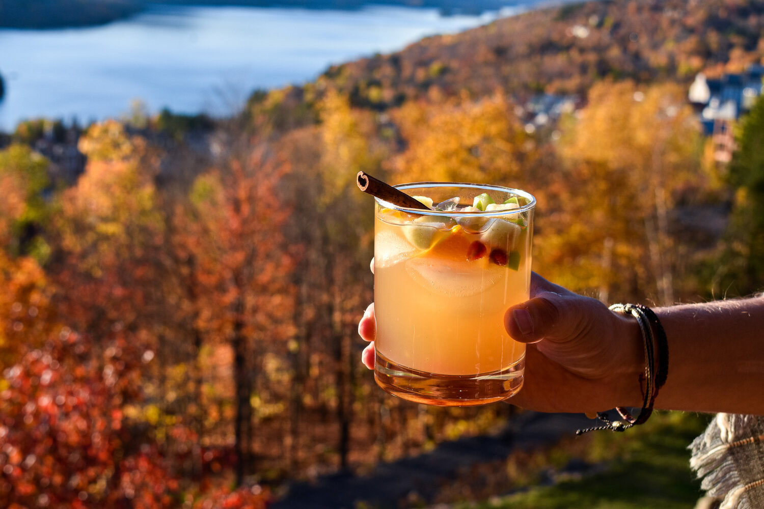 Fall Sangria Recipe